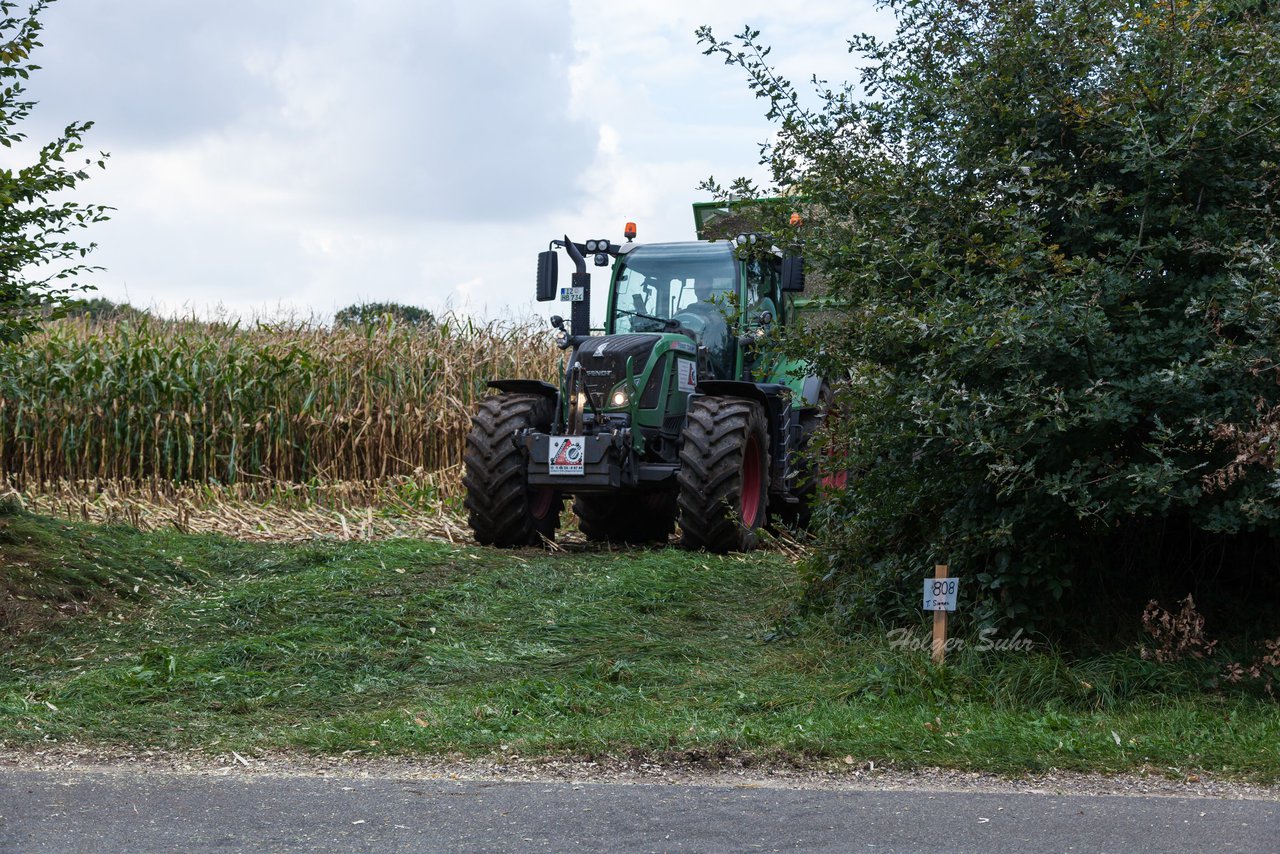 Bild 213 - Maisernte